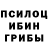 Галлюциногенные грибы мухоморы Spray Nt