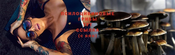 прущая мука Навашино