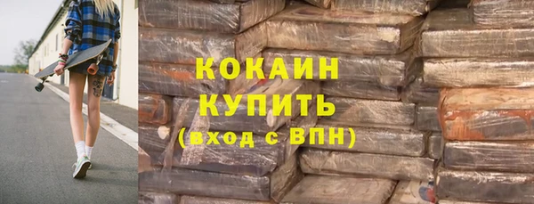 ГАЛЛЮЦИНОГЕННЫЕ ГРИБЫ Михайлов